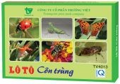 Lô Tô Côn Trùng