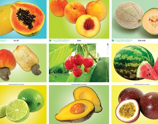 Tranh Các Loại Quả